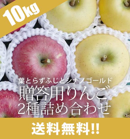 【出荷中】贈答用りんご 葉とらずふじ・シナノゴールド2種詰め合わせ 10kg（24~36個）