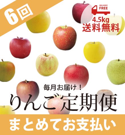 青森りんご定期便 4.5kg（毎月6回/まとめてお支払い）【2023年2〜7月】