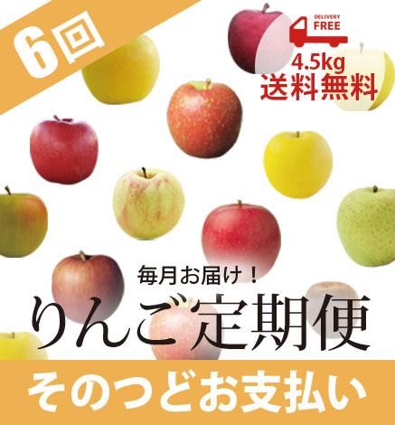 ÀÄ¿¹¤ê¤ó¤´Äê´üÊØ 4.5kg¡ÊËè·î6²ó/¤½¤Î¤Ä¤É¤ª»Ùʧ¤¤¡Ë¡Ú2023ǯ2¡Á7·î¡Û