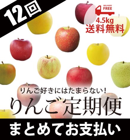 青森りんご定期便 4.5kg（1年中コース(12回)/まとめてお支払い）