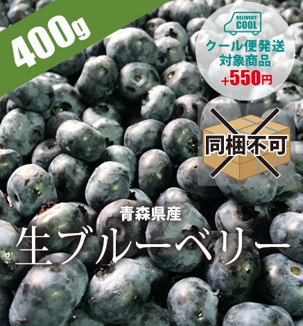 数量限定 青森県産生ブルーベリー500g 産地直送 通販 Red Apple レッドアップル 赤石農園