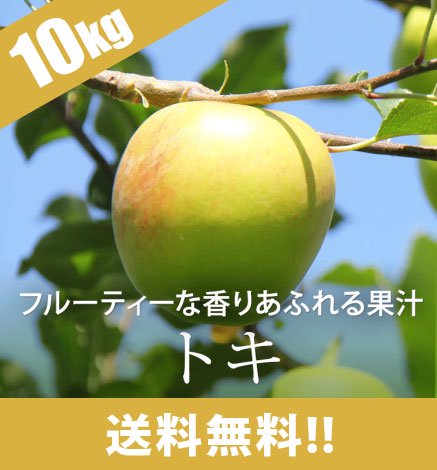 【10月上旬〜】青森りんご トキ 10kg（28〜44個）