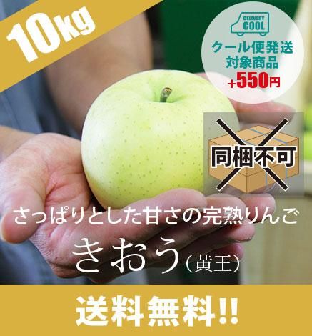 送料無料 青森りんご きおう 黄王 9kg 産地直送 通販 Red Apple レッドアップル 赤石農園