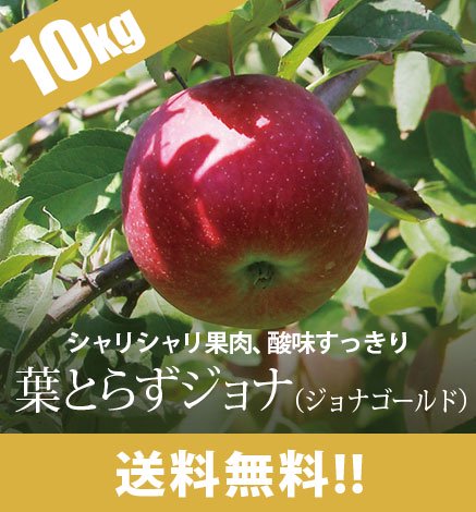送料無料】青森りんご 葉とらずジョナ（ジョナゴールド） 10kg 産地