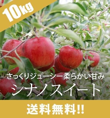 シナノスイート 青森りんごを産地直送・通販 RED APPLE(レッドアップル