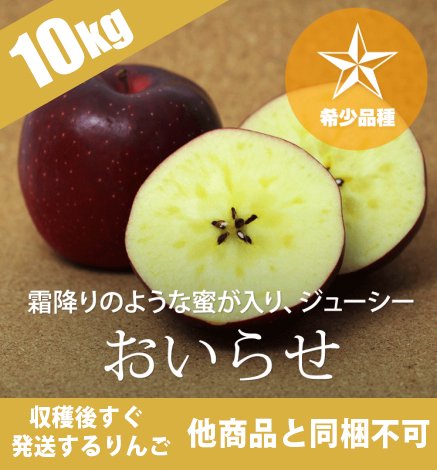 青森りんご おいらせ 10kg（16〜40個）希少品種