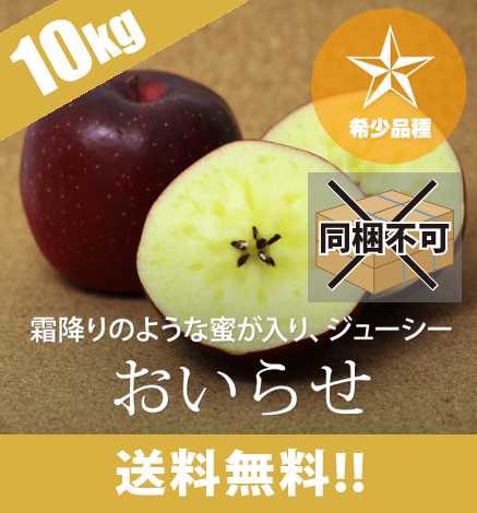 【予約中】青森りんご おいらせ 10kg（18〜40個）希少品種：10月下旬〜11月上旬より出荷