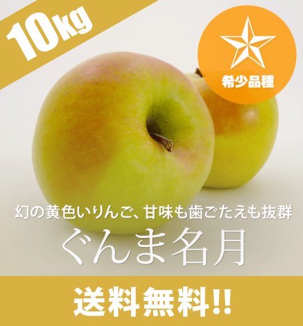 【出荷中】青森りんご ぐんま名月 10kg（24〜40個）