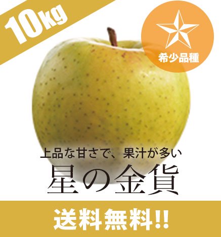 送料無料】青森りんご 星の金貨 10kg 産地直送・通販 RED APPLE(レッド