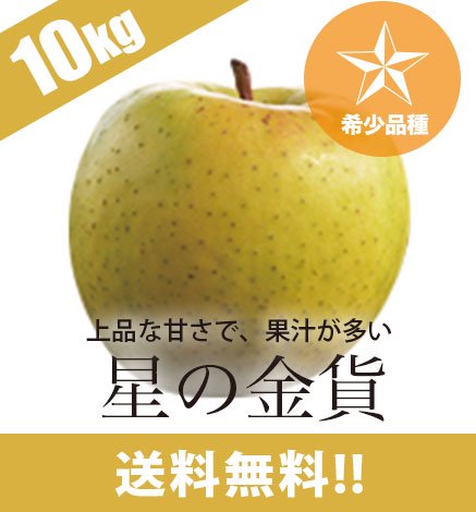 【出荷中】青森りんご 星の金貨 10kg（26〜46個）希少品種
