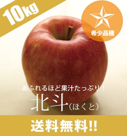 【10月下旬〜：希少品種】青森りんご 北斗（ほくと） 10kg（20〜40個）