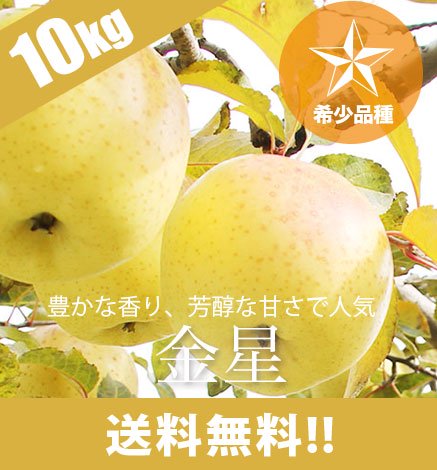 【11月下旬〜希少品種】青森りんご 金星 10kg（24〜40個）