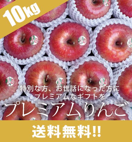 【出荷中】贈答用プレミアムりんご 10kg （24〜32個）