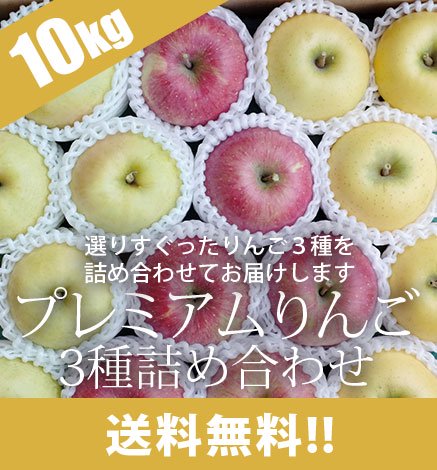 【出荷中】贈答用3種セット　プレミアムりんご 10kg (24〜32個)