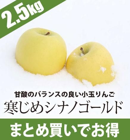 青森りんご 寒じめシナノゴールド 産地直送 通販 Red Apple レッドアップル 赤石農園 青森りんご 寒じめシナノゴールド 産地直送 通販 Red Apple レッドアップル 赤石農園