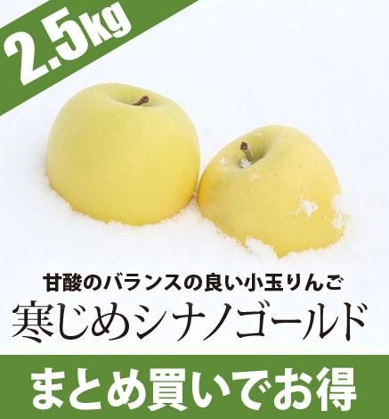 青森りんご 寒じめシナノゴールド 産地直送 通販 Red Apple レッドアップル 赤石農園