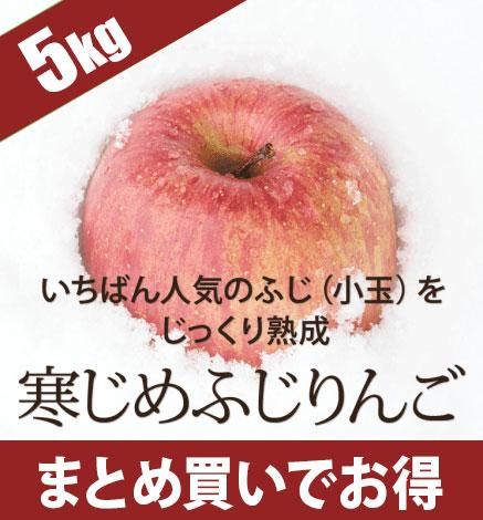 ÀÄ¿¹¤ê¤ó¤´ ´¨¤¸¤áÍդȤ餺¤Õ¤¸ 5kg¡Ê18¡Á28¶Ì¡Ë