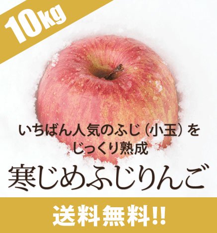 青森りんご 寒じめ葉とらずふじ 10kg（36〜56玉）