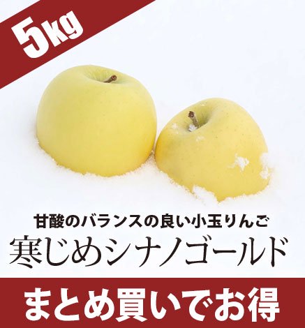 青森りんご 寒じめシナノゴールド  5kg（18〜28玉）