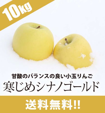青森りんご 寒じめシナノゴールド  10kg（36〜56玉）