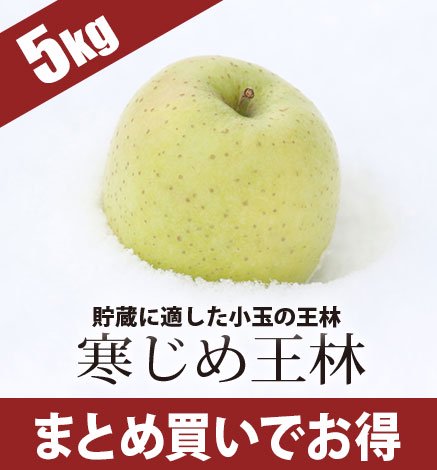 2箱以上で送料無料 2 5kgりんご 葉とらず青森りんご 産地直送 通販 Red Apple レッドアップル 赤石農園