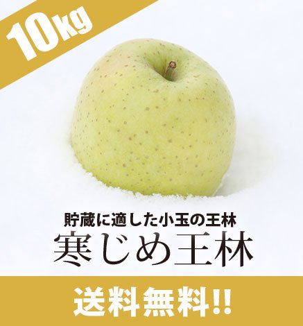 【出荷中】青森りんご 寒じめ王林 10kg（36〜56玉）