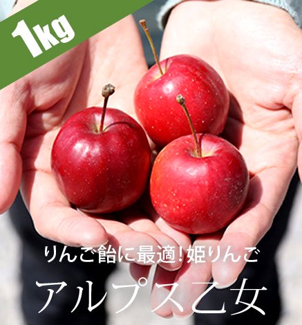 青森りんご アルプス乙女 1kg 産地直送 通販 Red Apple レッドアップル 赤石農園