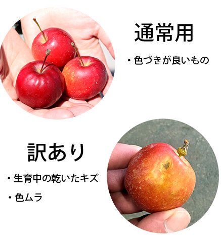 青森りんご アルプス乙女 1kg 産地直送・通販 RED APPLE(レッドアップル)[赤石農園]