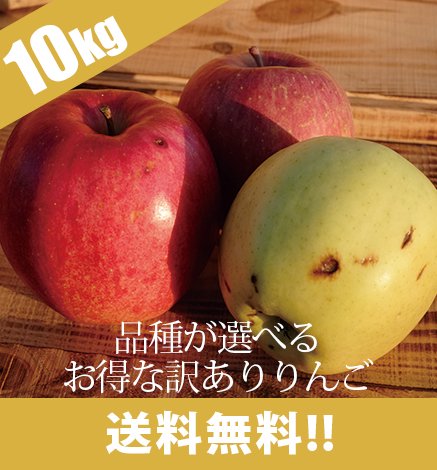 【10月上旬〜】訳あり青森りんご 10kg