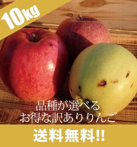 Éʼ郎Áª¤Ù¤ëÌõ¤¢¤ê¤ê¤ó¤´ 10kg