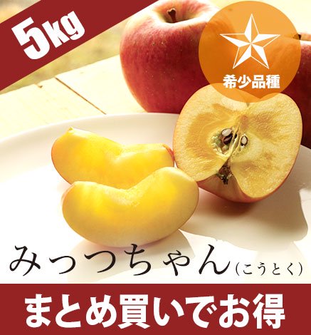 青森りんご みっつちゃん(こうとく) 5kg(16〜28個) 