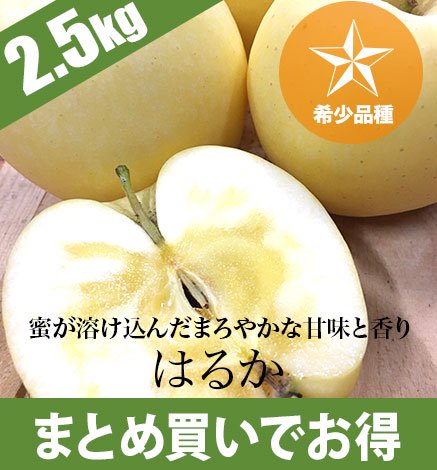 青森りんご はるか2.5kg (6〜12個) 希少品種