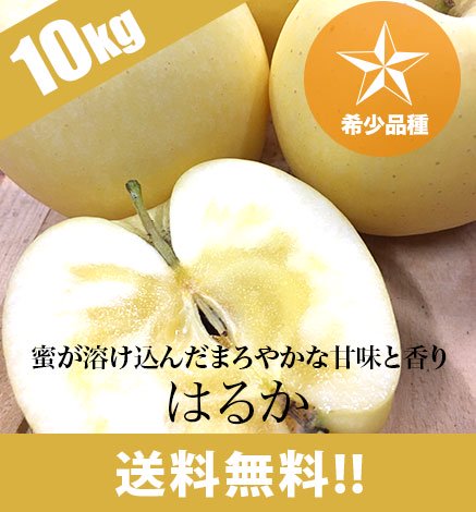 【希少品種】青森りんご はるか 10kg (24〜40個)