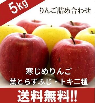 青森りんご 寒じめりんご2種詰め合わせ4.5ｋｇ(20〜26個)　 