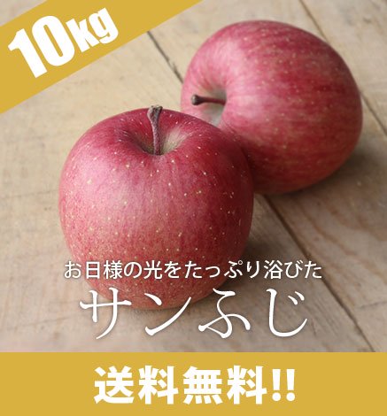 -青森りんご サンふじ 10kg（24〜40個）