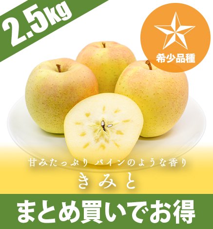 まとめ買いで送料無料】青森りんご きみと 2.5kg 産地直送・通販 RED