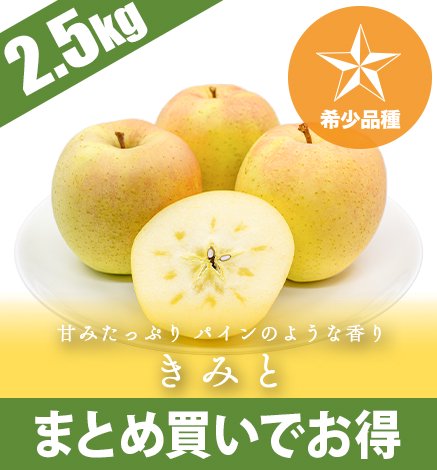 青森りんご きみと 2.5kg（6〜10個）