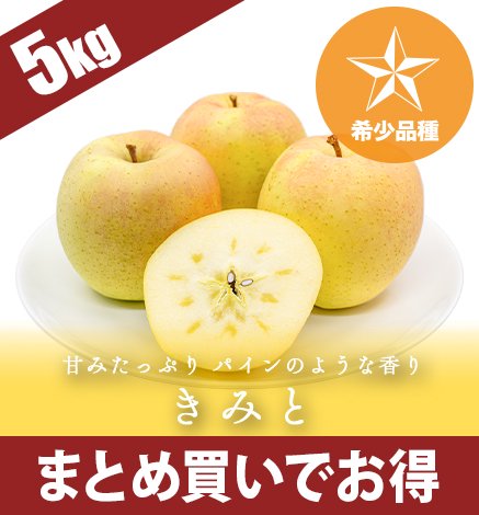 青森りんご きみと 5kg（12〜20個）