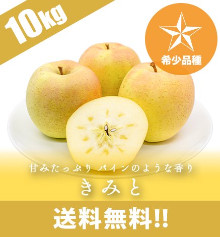 取扱中の青森りんご一覧 産地直送・通販 RED APPLE(レッドアップル)[赤石農園]