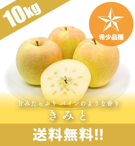 青森りんご きみと 10kg（24〜48個）