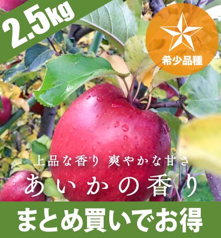青森りんご あいかの香り 2.5kg（6〜10個）