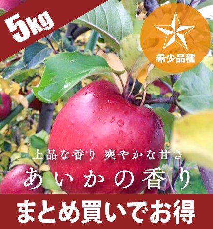 青森りんご あいかの香り 5kg（12〜20個）