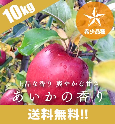青森りんご あいかの香り 10kg（24〜40個）