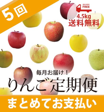 青森りんご定期便 4.5kg（毎月5回コース/まとめてお支払い）