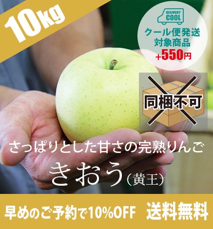 【早割がお得】青森りんご きおう（黄王） 10kg（24〜40個）9月上旬より出荷