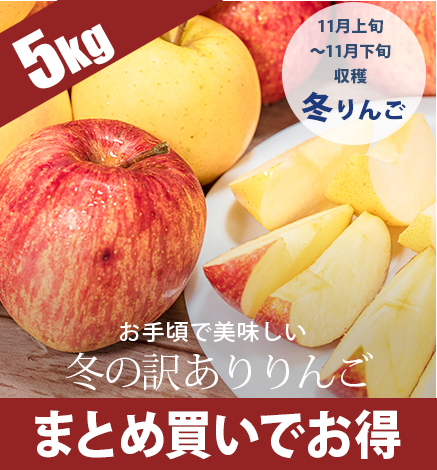 【出荷中】冬の訳ありりんご 5kg：収穫次第順次発送