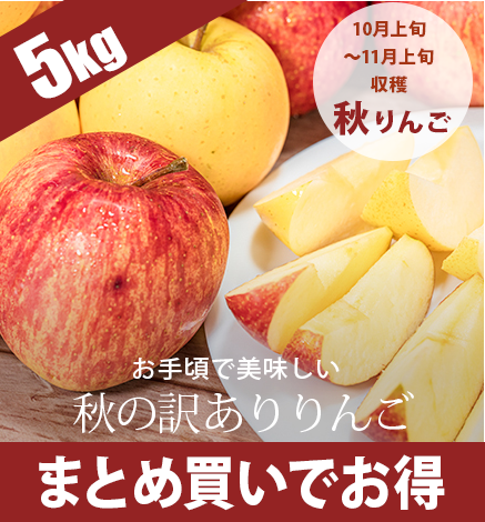 青森りんご 傷ありりんご 青森りんごを産地直送・通販 RED APPLE