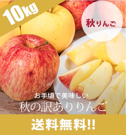 送料無料】【訳あり】青森りんご 10kg 産地直送・通販 RED APPLE(レッドアップル)[赤石農園]