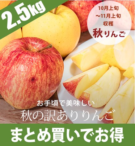 青森りんご 傷ありりんご 青森りんごを産地直送・通販 RED APPLE