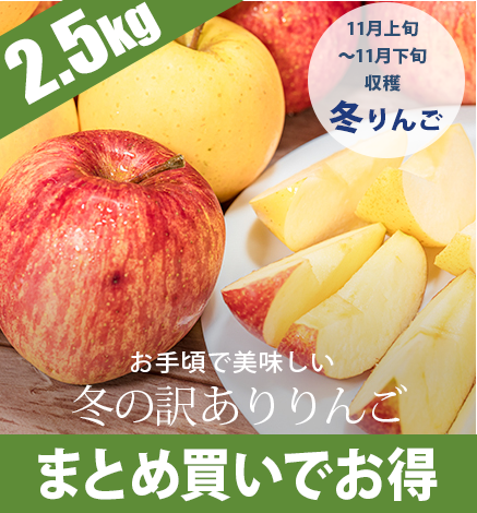 【出荷中】冬の訳ありりんご 2.5kg：収穫次第順次発送